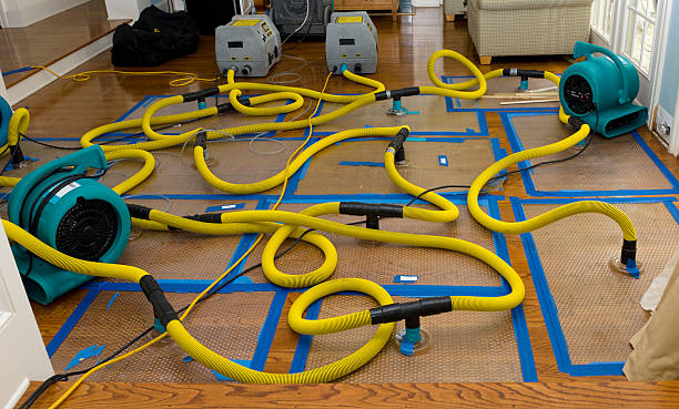 Professional Crawl Space Water Removal technician working in Laurel, DE